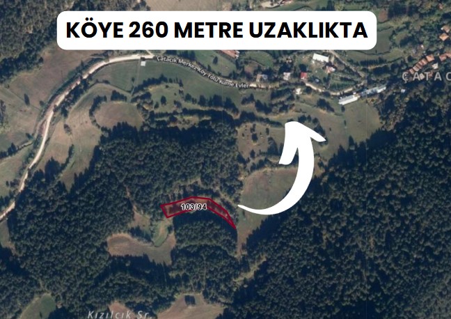 BOLU GÖYNÜK ÇATACIK KÖYÜNDE 1.892 M² TARLAMIZ SATILIKTIR. - BOLU GÖYNÜK fotoğraf 9